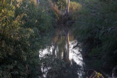 MG_0012-2