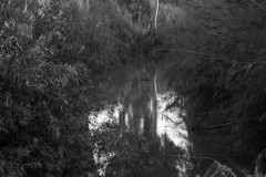 MG_0012-3