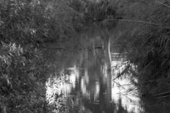 MG_0013-2