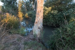 MG_0019