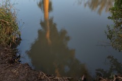 MG_0021-3