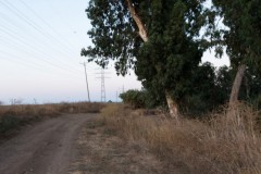 MG_0034
