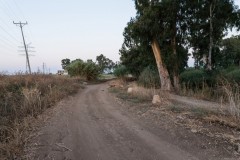 MG_0036