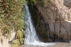 02-Eyn-Gedi-Dead-Sea