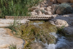 03-Eyn-Gedi-Dead-Sea