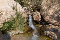 04-Eyn-Gedi-Dead-Sea