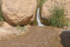 05-Eyn-Gedi-Dead-Sea