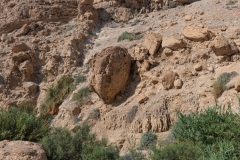 06-Eyn-Gedi-Dead-Sea