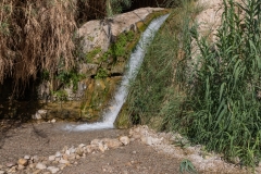 07-Eyn-Gedi-Dead-Sea