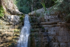 09-Eyn-Gedi-Dead-Sea