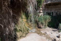 10-Eyn-Gedi-Dead-Sea