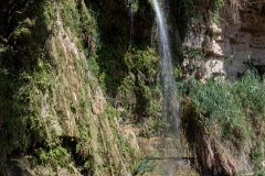 14-Eyn-Gedi-Dead-Sea