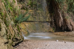 15-Eyn-Gedi-Dead-Sea