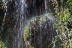 16-Eyn-Gedi-Dead-Sea