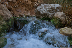 01-Ein-Boqeq-Nov-2022