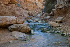 02-Ein-Boqeq-Nov-2022