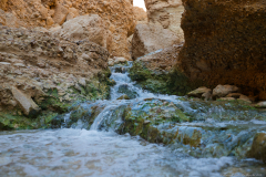 03-Ein-Boqeq-Nov-2022