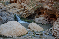 04-Ein-Boqeq-Nov-2022