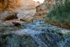 05-Ein-Boqeq-Nov-2022