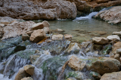 08-Ein-Boqeq-Nov-2022