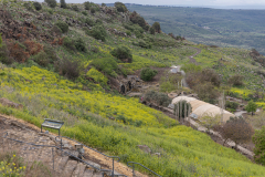 03-Golan-Hights-Round-Trip-March-2025