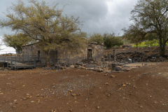 06-Golan-Hights-Round-Trip-March-2025