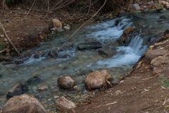 08-En-Shoqeq-Wet-Trail