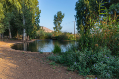 10-En-Shoqeq-Wet-Trail