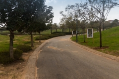 MG_0026