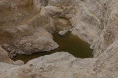 05-Gail-Rubin-Project-Passover-2024