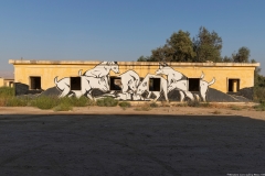 32-Gallery-Minus-430