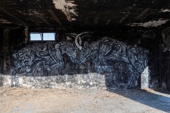 66-Gallery-Minus-430