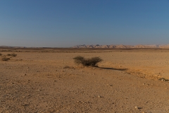 01-Gev-Yamin