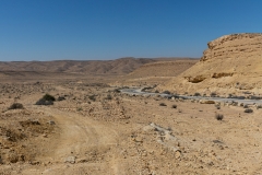 02-Hammat-Track