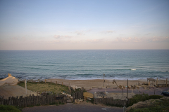 01-Havatzelet-HaSharon