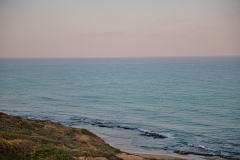 03-Havatzelet-HaSharon