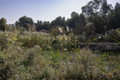 19-Hula-Nature-Reserve-21.11.2025