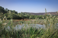 20-Hula-Nature-Reserve-21.11.2025