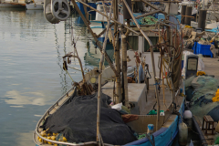 05-Jaffa-May-2023