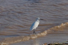 MG_0019