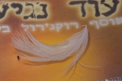 02-Covid-19-Abstract