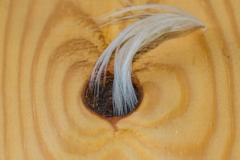 04-Covid-19-Abstract