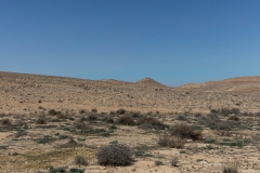 01-בורות-לוץ