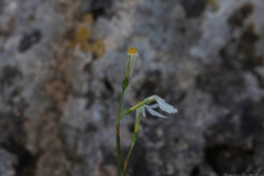 01-Macro-Sat-21-Nov-2020