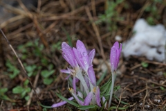 03-Macro-Sat-21-Nov-2020