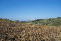 02-Metzad-Ateret