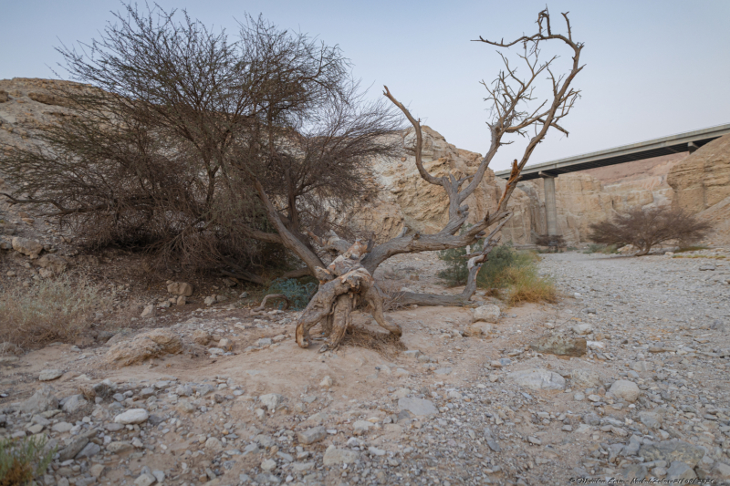 01-Nachal-Zohar-21.06.2024