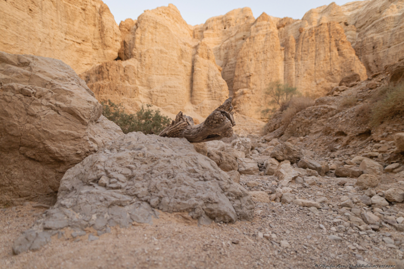 05-Nachal-Zohar-21.06.2024