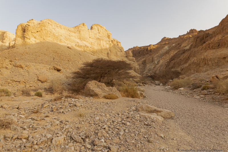09-Nachal-Zohar-21.06.2024