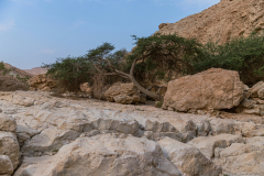 04-Nachal-Zohar